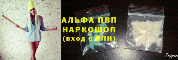 ПСИЛОЦИБИНОВЫЕ ГРИБЫ Верхний Тагил