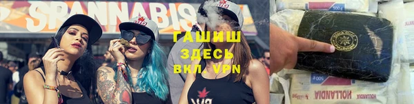 apvp Бородино