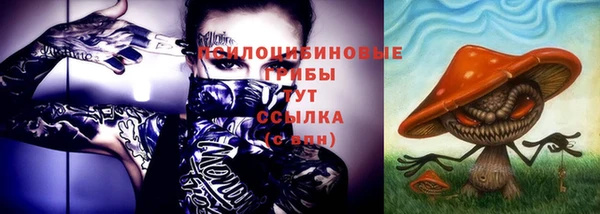 МДПВ Верея