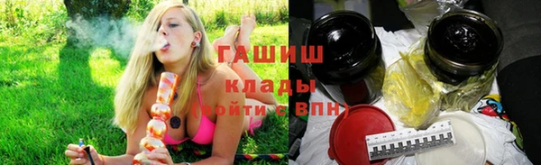 apvp Бородино